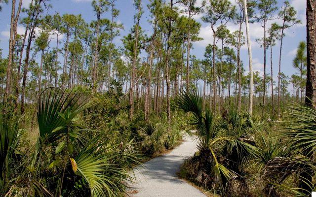 Best Hiking Trails in and Around Miami