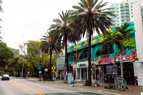 El Barrio de Coconut Grove: Encanto y Bohemia