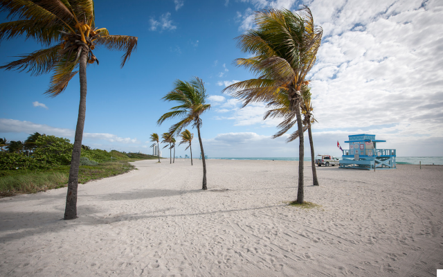 Haulover Park: Beaches and Stunning Views