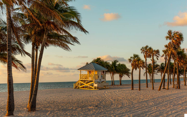 Crandon Park: Encounters with Nature